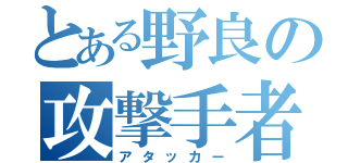 とある野良の攻撃手者（アタッカー）