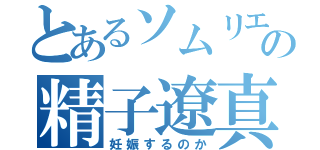 とあるソムリエの精子遼真（妊娠するのか）