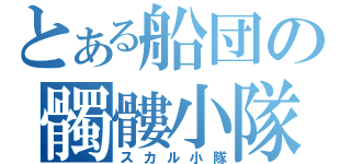 とある船団の髑髏小隊（スカル小隊）