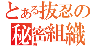 とある抜忍の秘密組織（暁）