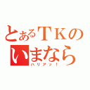 とあるＴＫのいまなら間に合う！（ハリアッ！）