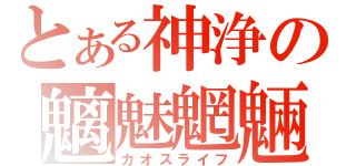 とある神浄の魑魅魍魎（カオスライフ）