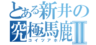 とある新井の究極馬鹿Ⅱ（コイツアホ）