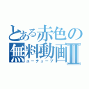 とある赤色の無料動画Ⅱ（ユーチューブ）