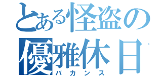 とある怪盗の優雅休日（バカンス）