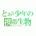 とある少年の携帯生物（ポケットモンスター）