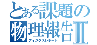 とある課題の物理報告書Ⅱ（フィジクスレポート）