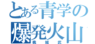 とある青学の爆発火山（桃城武）