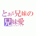 とある兄妹の兄妹愛（ブラザーラブ）