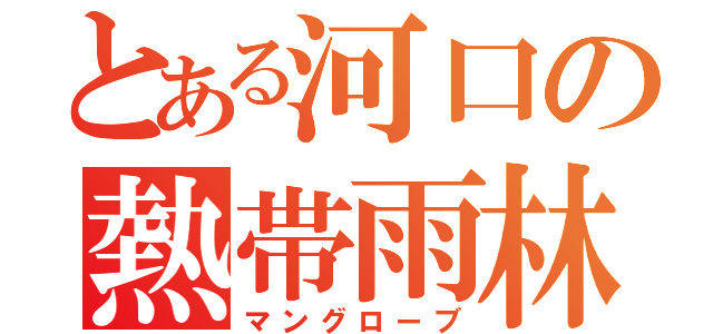 とある河口の熱帯雨林（マングローブ）