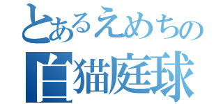 とあるえめちの白猫庭球（）