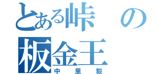 とある峠の板金王（中里毅）