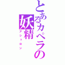 とあるカペラの妖精（アシュロン）