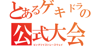 とあるゲキドラの公式大会（ビッグツイストレースウェイ）