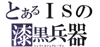 とあるＩＳの漆黒兵器（シュヴァルツェアレーゲン）