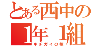 とある西中の１年１組（キチガイの極）