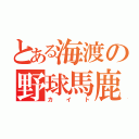 とある海渡の野球馬鹿（カイト）