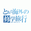 とある海外の修学旅行（スクールトリップ）