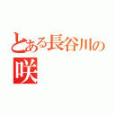 とある長谷川の咲（）