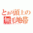 とある頭上の無毛地帯（スキンヘッド）