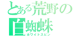 とある荒野の白蜘蛛（ホワイトスピン）