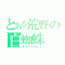 とある荒野の白蜘蛛（ホワイトスピン）