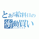 とある給料日の衝動買い（インデックス）