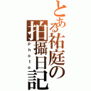 とある祐庭の拍攝日記（Ｐｈｏｔｏ）