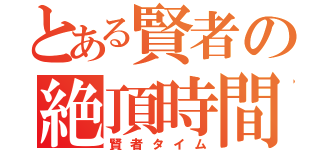 とある賢者の絶頂時間（賢者タイム）