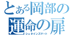 とある岡部の運命の扉（シュタインズゲート）