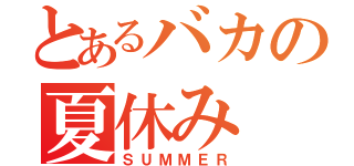 とあるバカの夏休み（ＳＵＭＭＥＲ）