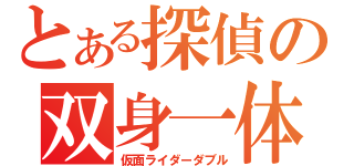 とある探偵の双身一体（仮面ライダーダブル）