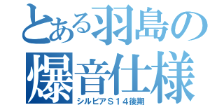 とある羽島の爆音仕様車（シルビアＳ１４後期）