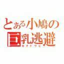 とある小鳩の巨乳逃避（セナトウヒ）