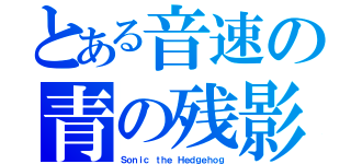 とある音速の青の残影（Ｓｏｎｉｃ ｔｈｅ Ｈｅｄｇｅｈｏｇ）