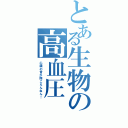 とある生物の高血圧（心臓の音が聞こえんねん！）