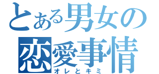 とある男女の恋愛事情（オレとキミ）