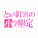 とある釘宮の小学限定（シャナ萌え）