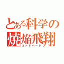 とある科学の焼焔飛翔（ゴッドバード）