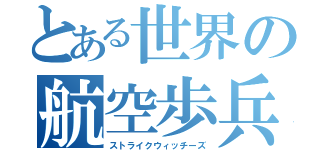 とある世界の航空歩兵（ストライクウィッチーズ）