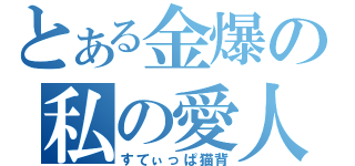 とある金爆の私の愛人（すてぃっぱ猫背）