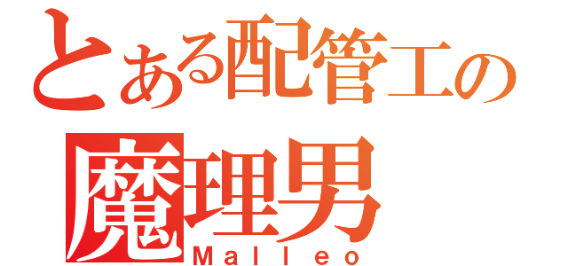 とある配管工の魔理男（Ｍａｌｌｅｏ）