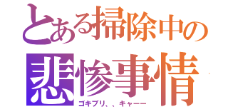 とある掃除中の悲惨事情（ゴキブリ、、キャーー）