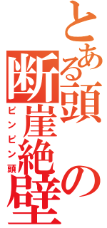 とある頭の断崖絶壁（ピンピン頭）