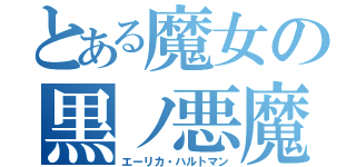 とある魔女の黒ノ悪魔（エーリカ・ハルトマン）