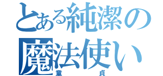 とある純潔の魔法使い（童貞）