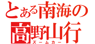 とある南海の高野山行（ズームカー）