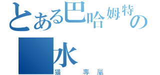 とある巴哈姆特の淺水證（猫 專屬）