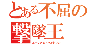 とある不屈の撃墜王（エーリッヒ・ハルトマン）