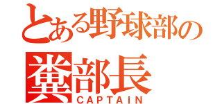 とある野球部の糞部長（ＣＡＰＴＡＩＮ）